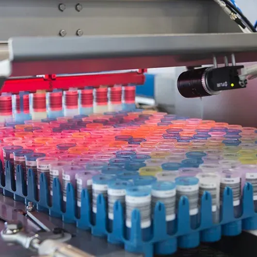 Barcode and QR code scanning