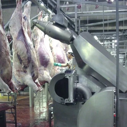 Beef Cutting Robots