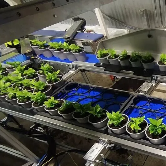 Automated Potted Plant Loader